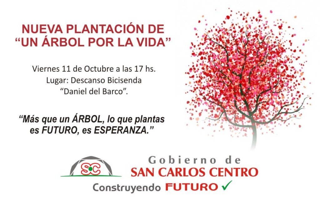 Parte 279-24.jpg