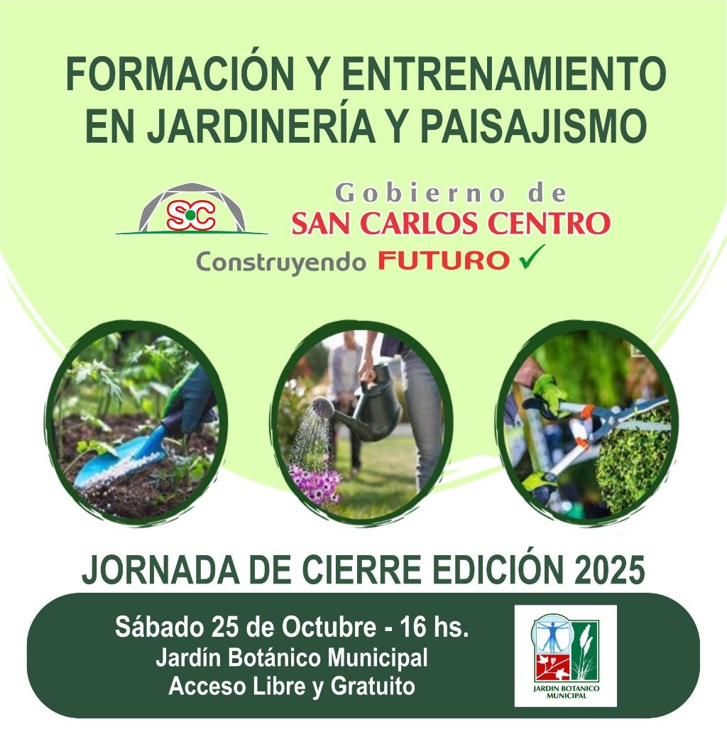 Parte 310-25.jpg