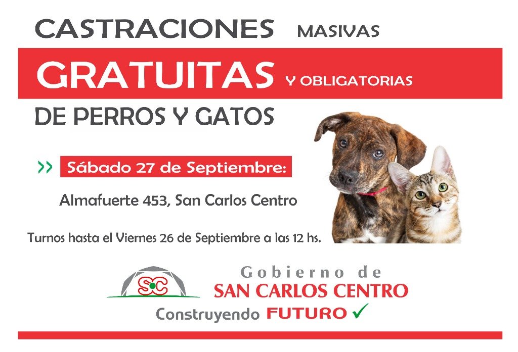 Parte 272-25 Horizontal.jpg