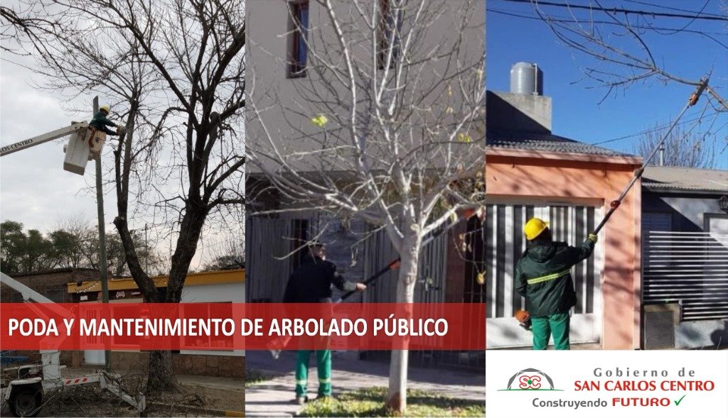 Parte 194-24.jpg